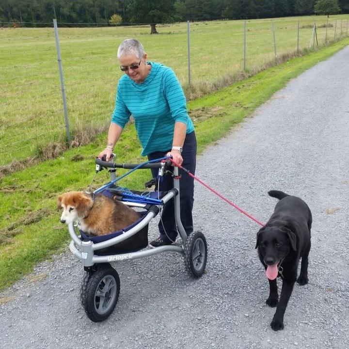 True all-terrain machine.